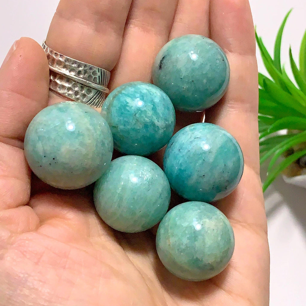One Cute Blue Amazonite  Dainty Sphere Carving - Earth Family Crystals