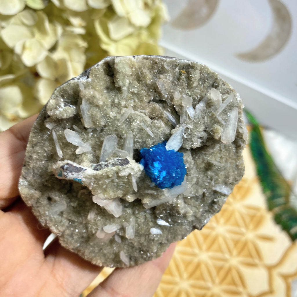 AA Grade! Rare Collectors Cavansite Clusters Nestled in Sparkly Stilbite Matrix From India - Earth Family Crystals