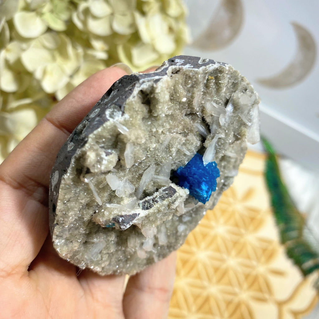 AA Grade! Rare Collectors Cavansite Clusters Nestled in Sparkly Stilbite Matrix From India - Earth Family Crystals