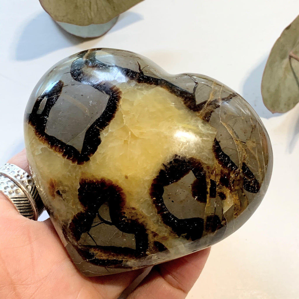 Gorgeous  Septarian Dragon Heart Carving~ Locality Madagascar - Earth Family Crystals