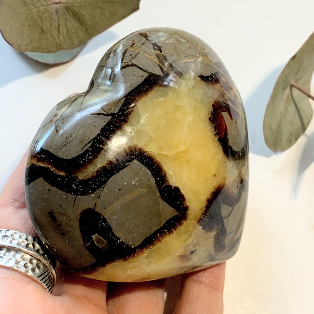 Gorgeous  Septarian Dragon Heart Carving~ Locality Madagascar - Earth Family Crystals
