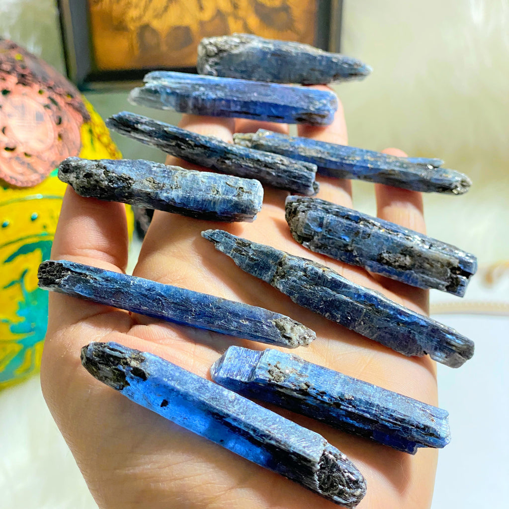 One Gemmy Deep Blue Kyanite Natural Point ~Locality Zimbabwe - Earth Family Crystals