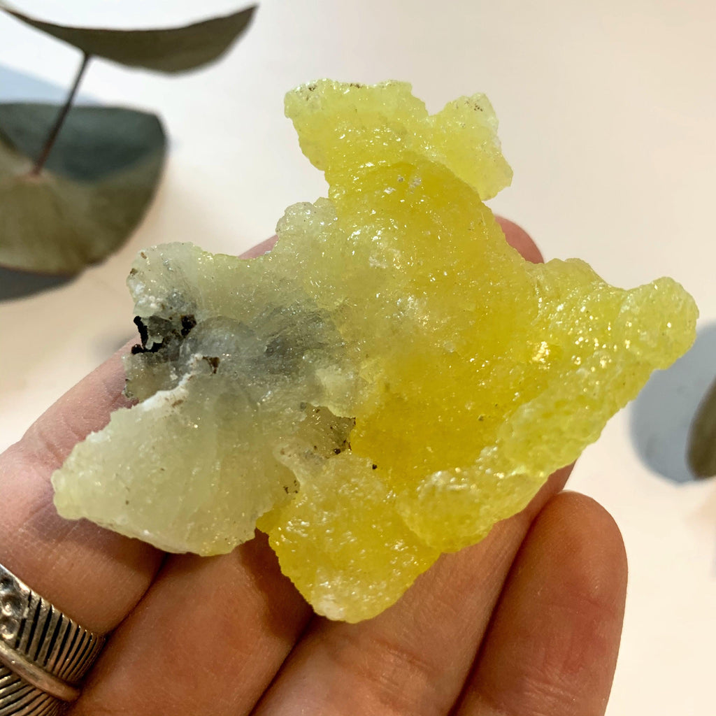 Uplifting Yellow Natural Brucite Collectors Specimen ~Locality Pakistan - Earth Family Crystals