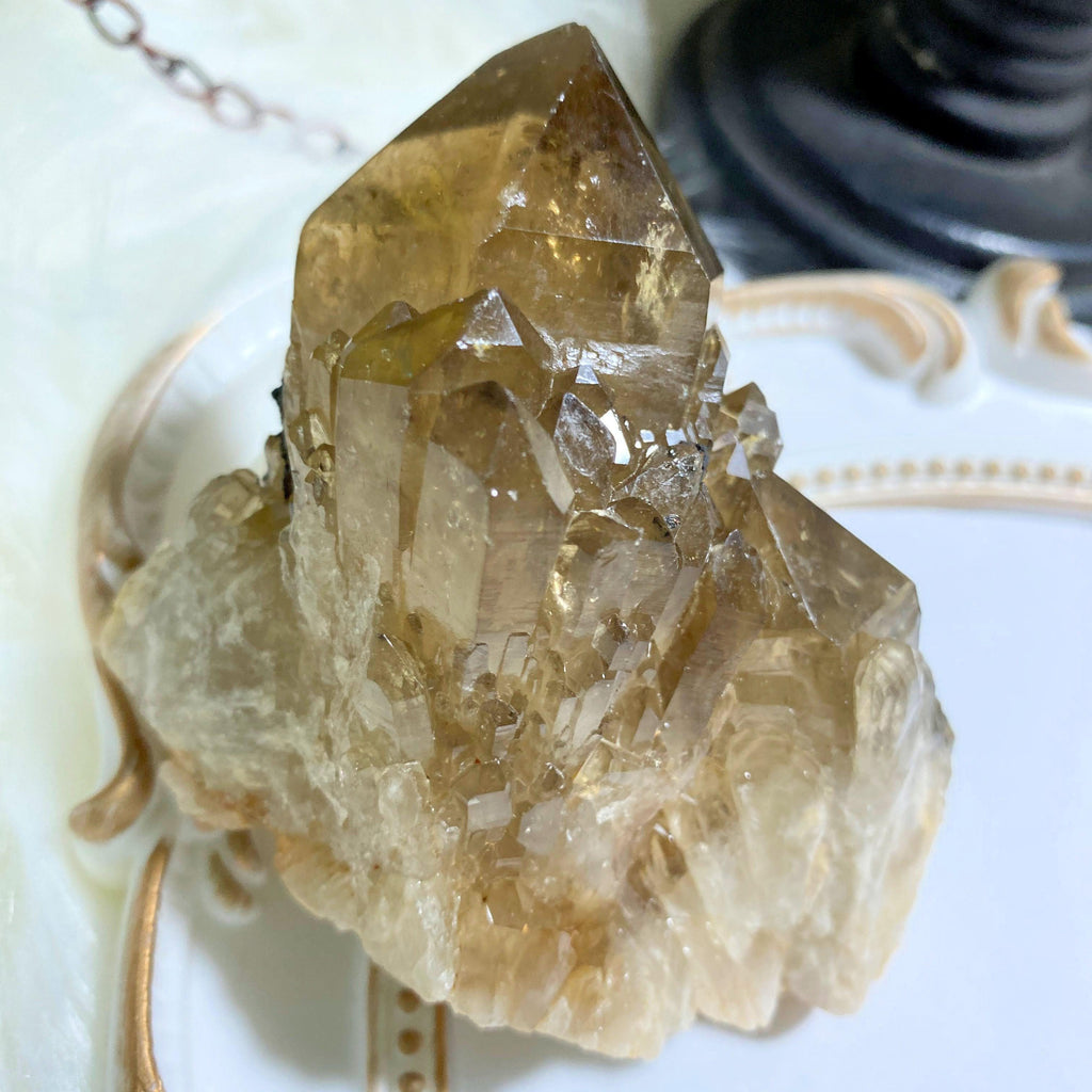 Gorgeous Natural Citrine Phantom Elestial Kundalini Large Standing Cluster - Locality: Congo - Earth Family Crystals