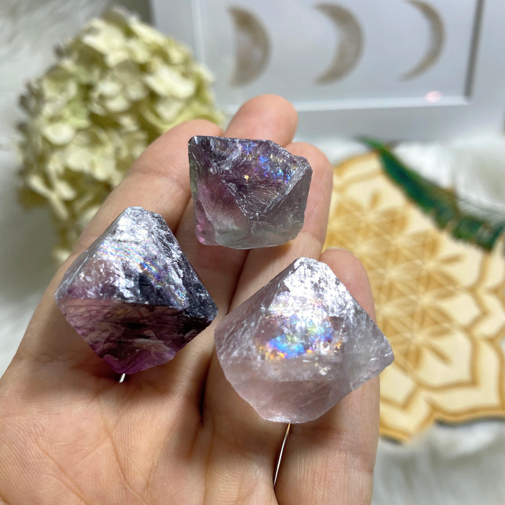 Rainbow Loaded! Set of 3 Natural Octahedron Fluorite Crystals - Earth Family Crystals