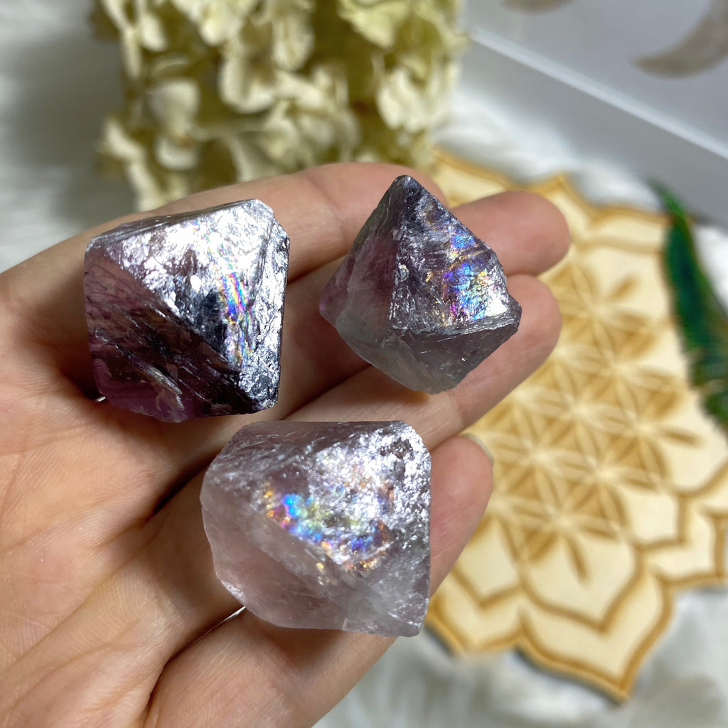 Rainbow Loaded! Set of 3 Natural Octahedron Fluorite Crystals - Earth Family Crystals