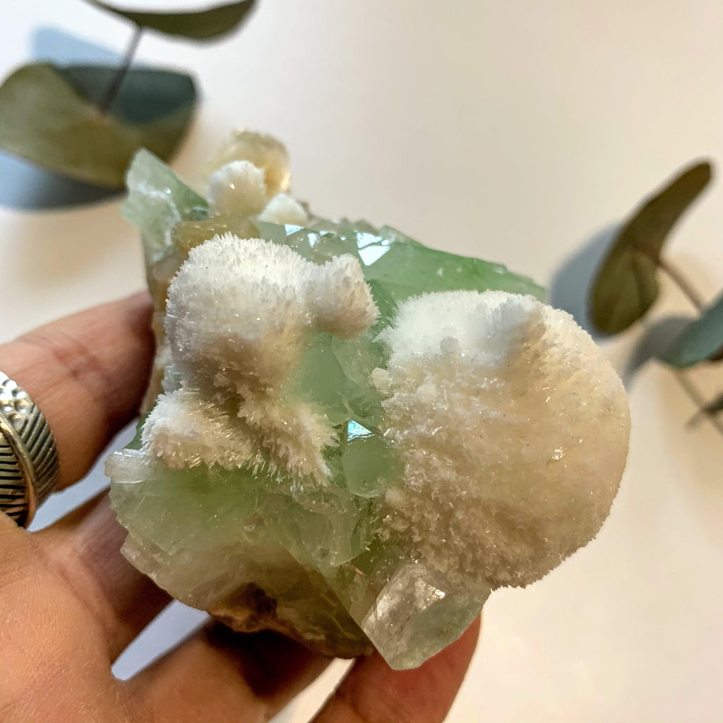Rare~Milky White Mordenite on Brilliant Green Apophyllite & Stilbite Matrix ~Locality India - Earth Family Crystals