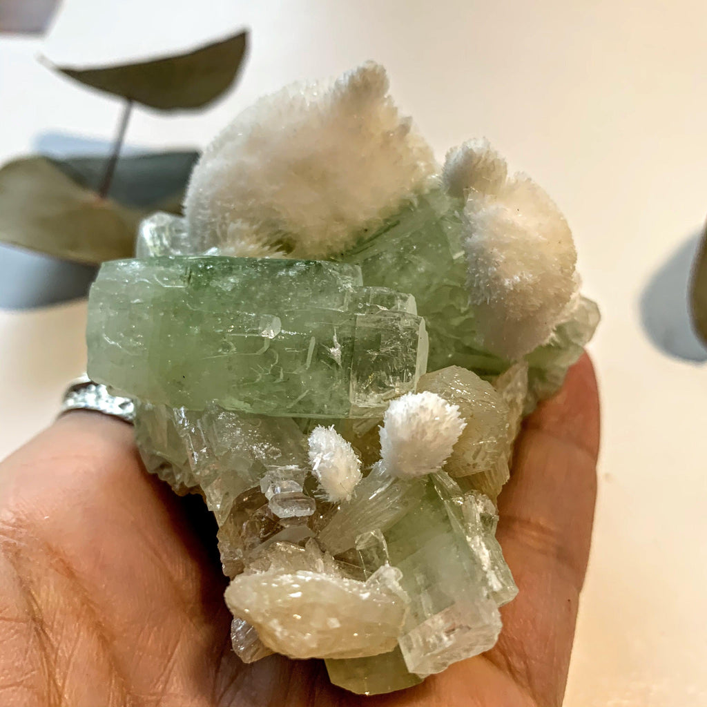 Rare~Milky White Mordenite on Brilliant Green Apophyllite & Stilbite Matrix ~Locality India - Earth Family Crystals