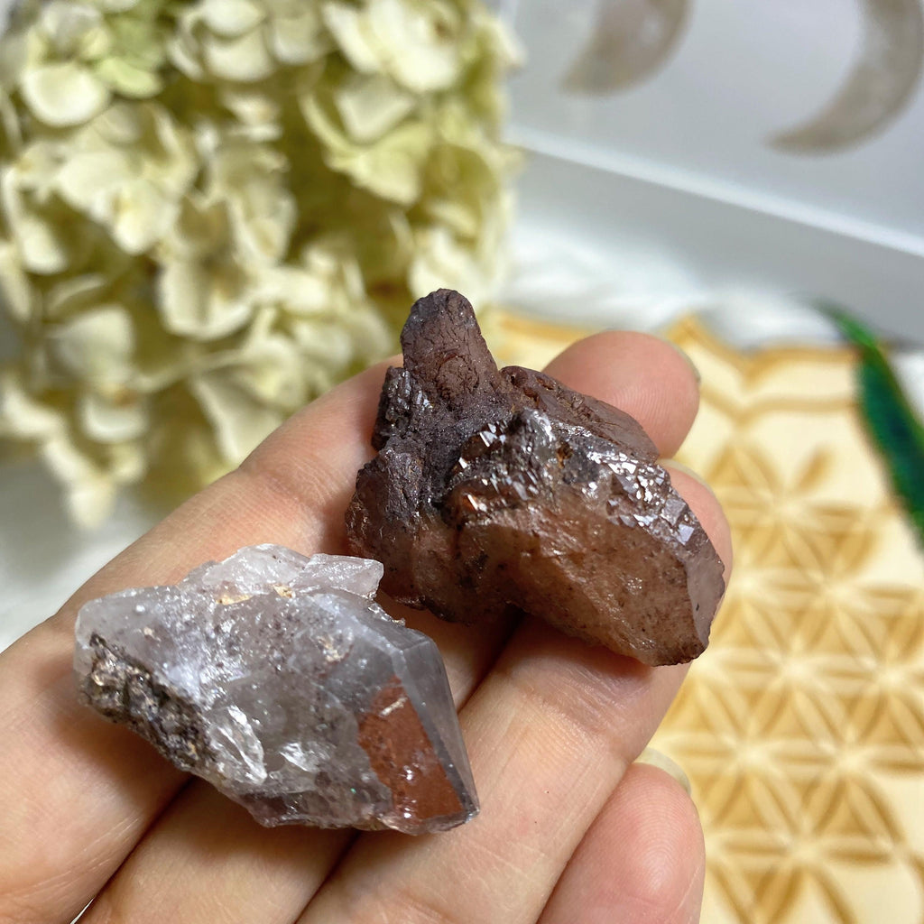 Set of 2 Orange River Quartz Natural Specimens From South Africa - Earth Family Crystals