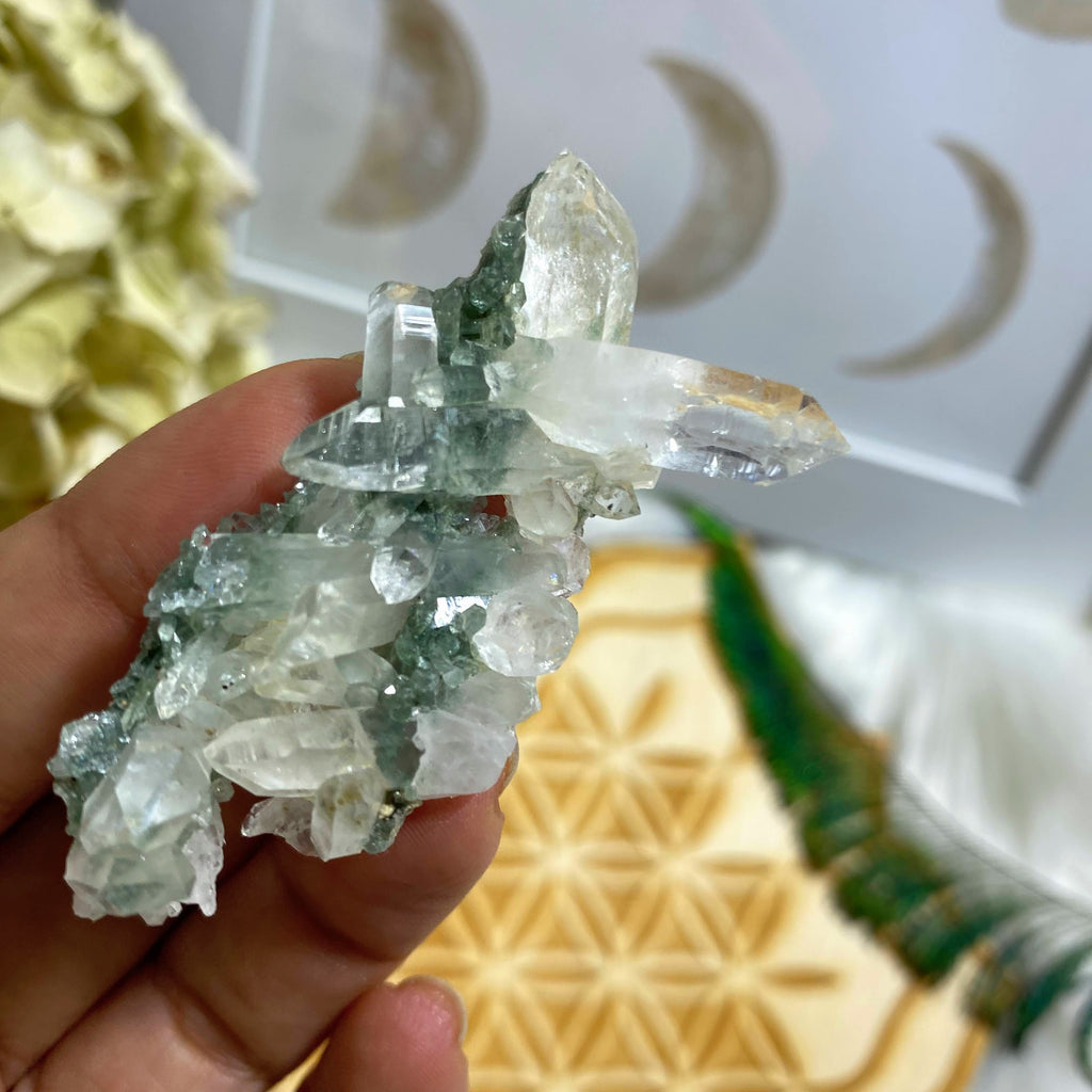 Unique & Rare! Samadhi Green Himalayan Quartz Cluster #1 - Earth Family Crystals