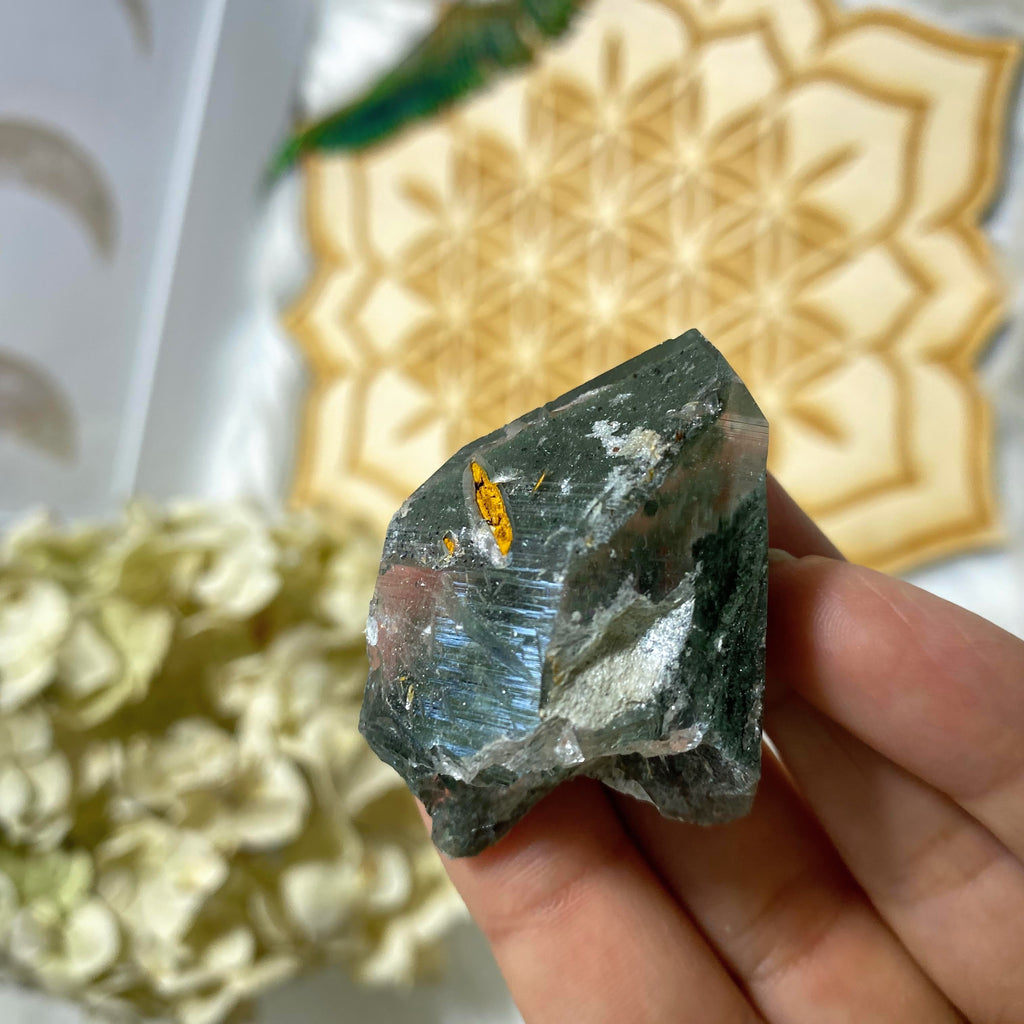 Unique & Rare! Samadhi Green Himalayan Phantom Quartz Point #3 - Earth Family Crystals