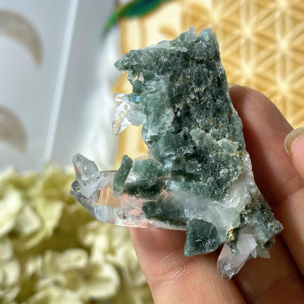 Unique & Rare! Samadhi Green Himalayan Quartz Cluster #4 - Earth Family Crystals