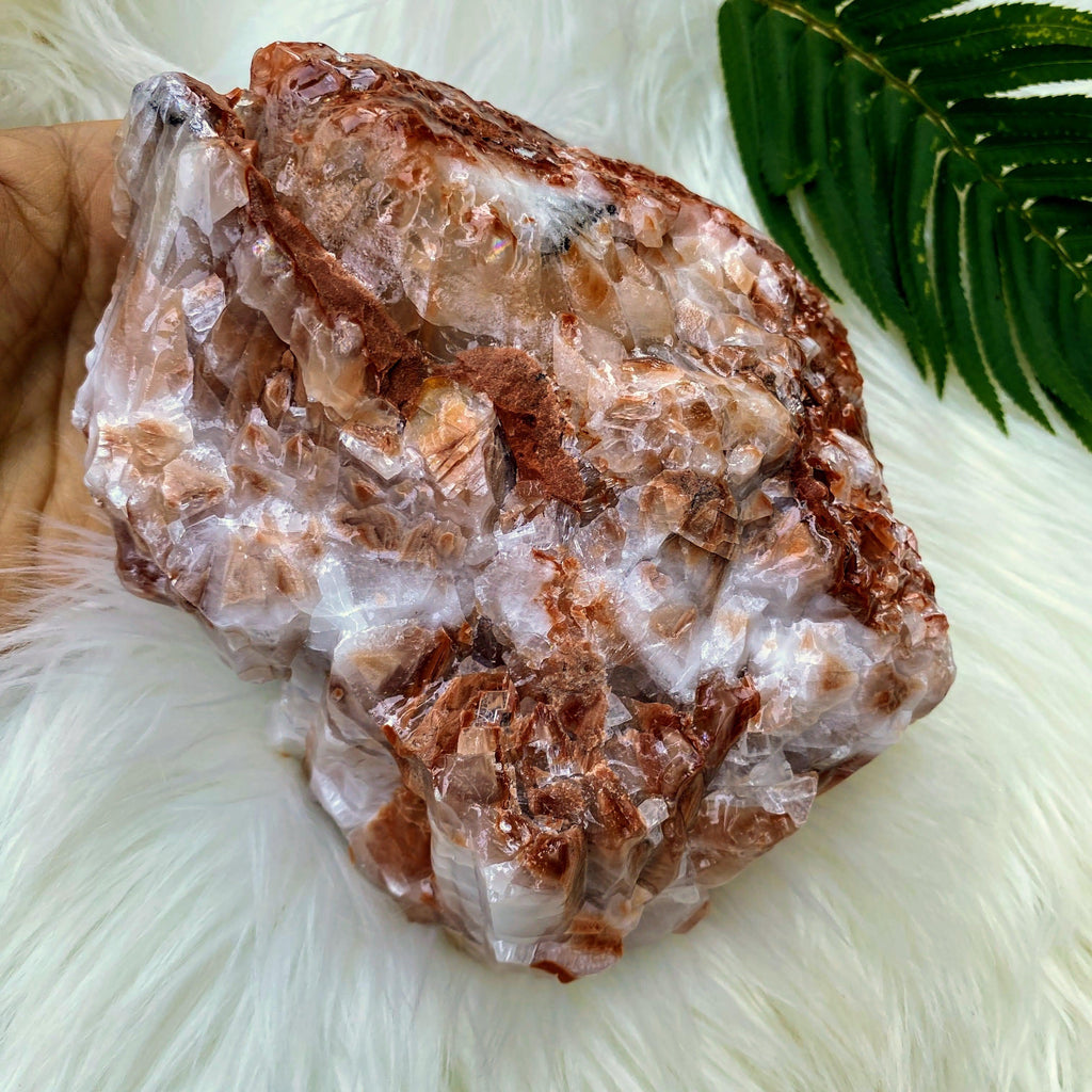Huge 1.5 kg Chunky Red & White Calcite Display Specimen From Mexico - Earth Family Crystals