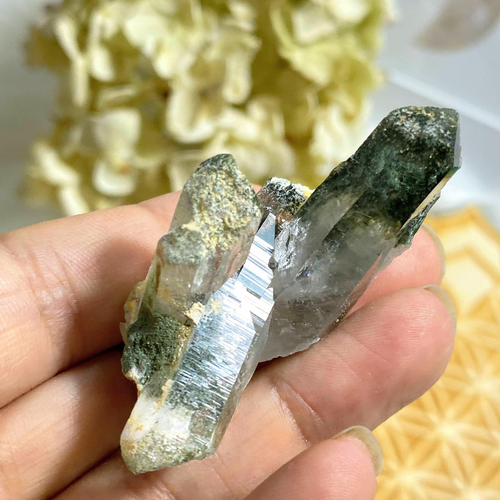 Unique & Rare! Samadhi Green Himalayan Quartz Multi Point Cluster #5 - Earth Family Crystals