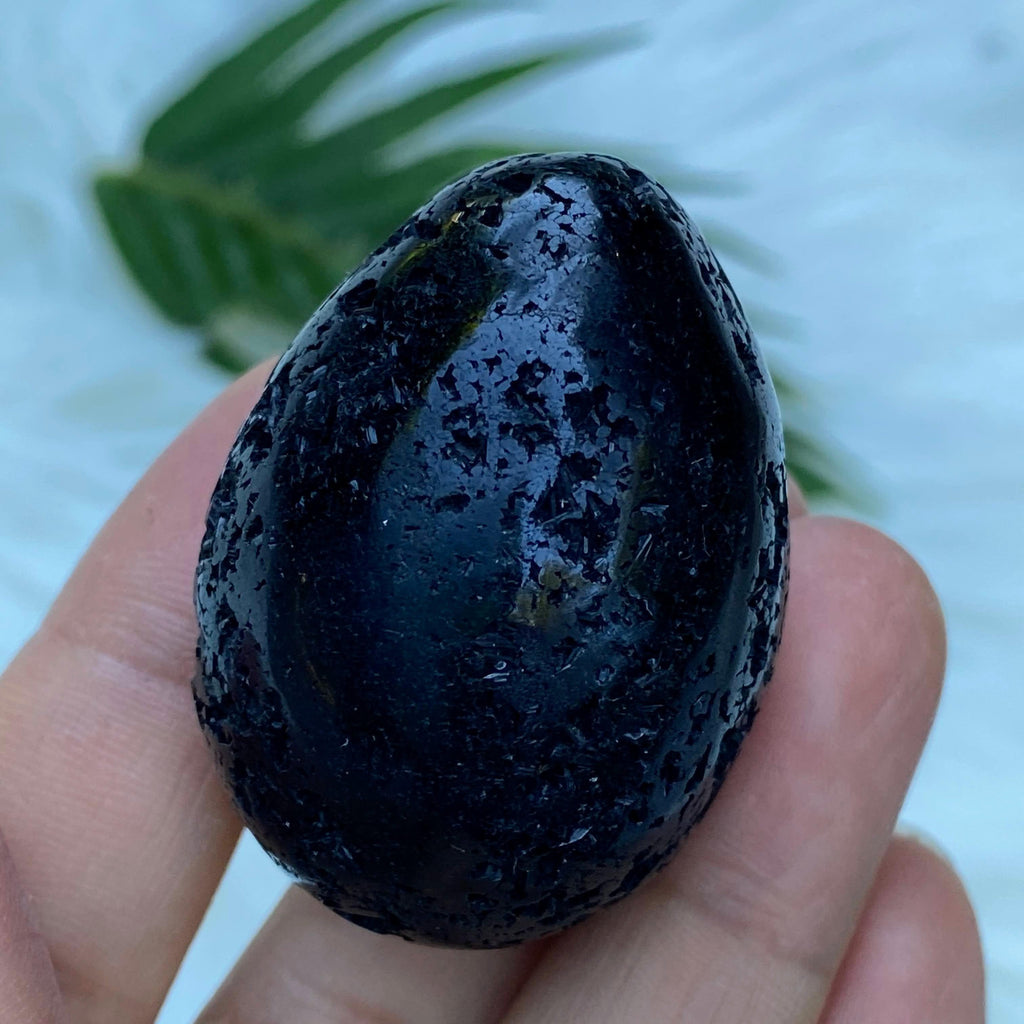 Gorgeous Black Tourmaline Partially Polished Egg carving - Earth Family Crystals