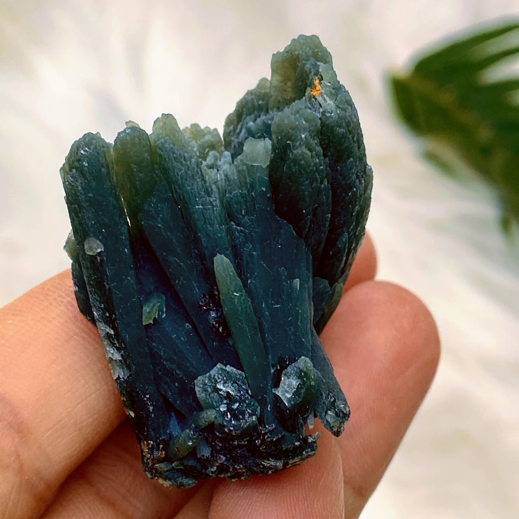 Very Rare Crystal~ Greek Seriphos Green Quartz Intricate Cluster Collectors Specimen~Locality: Serifos, Greece - Earth Family Crystals