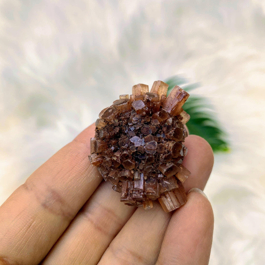 Cute Handheld Orange Star Aragonite Natural Specimen - Earth Family Crystals