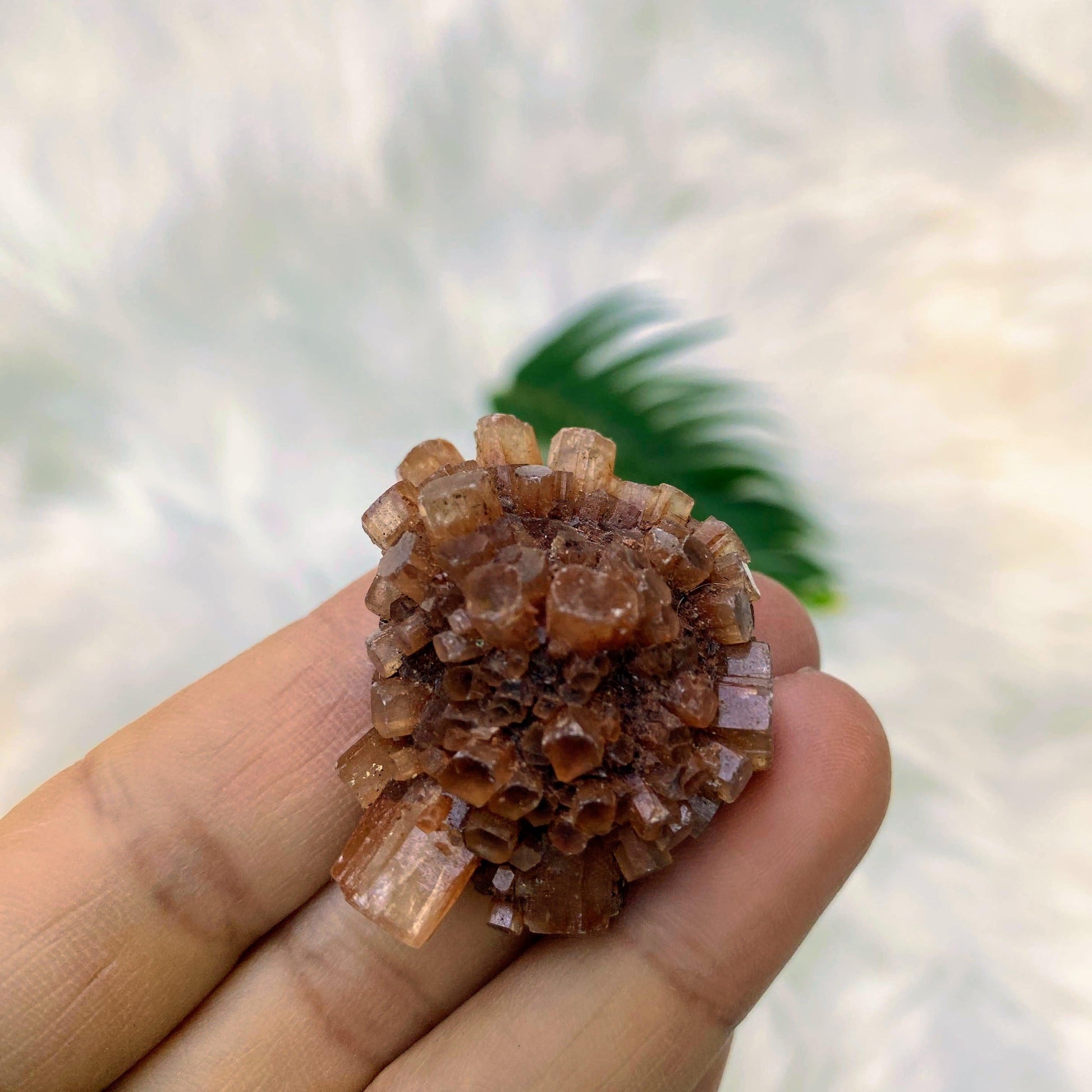 Cute Handheld Orange Star Aragonite Natural Specimen - Earth Family Crystals