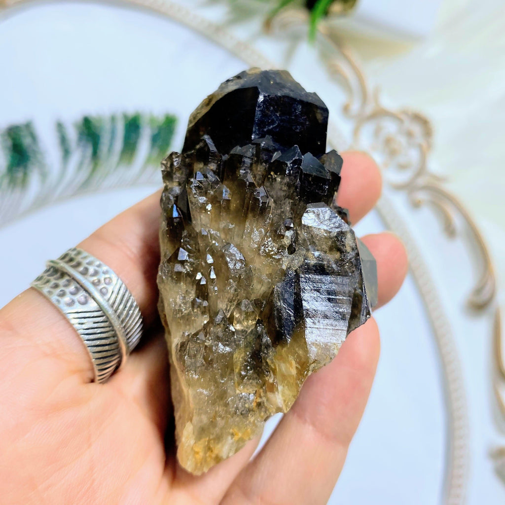 Deep Natural Smoky Quartz With Citrine Inclusions Elestial Kundalini Point #2 - Earth Family Crystals