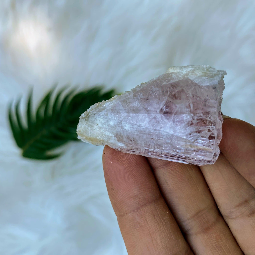 High Vibe Gemmy Natural Danburite Crystal ~ Locality: Mexico - Earth Family Crystals