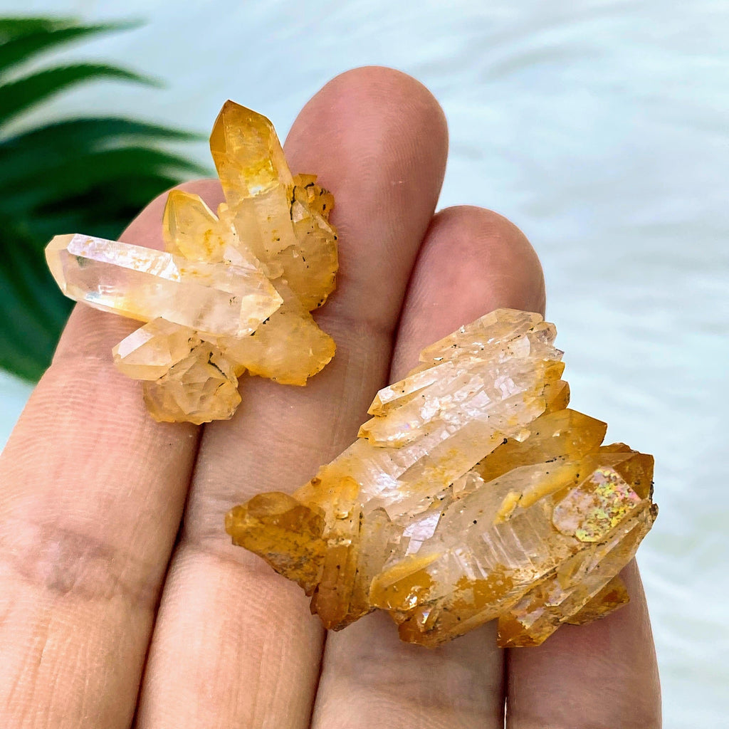 Set of 2~ Natural Rainbow Mayanite Quartz Clusters From Arkansas - Earth Family Crystals