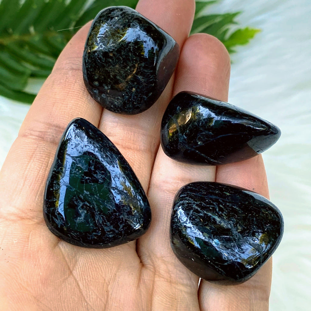 One Medium Authentic & Rare Greenland Nuummite Polished Specimen - Earth Family Crystals