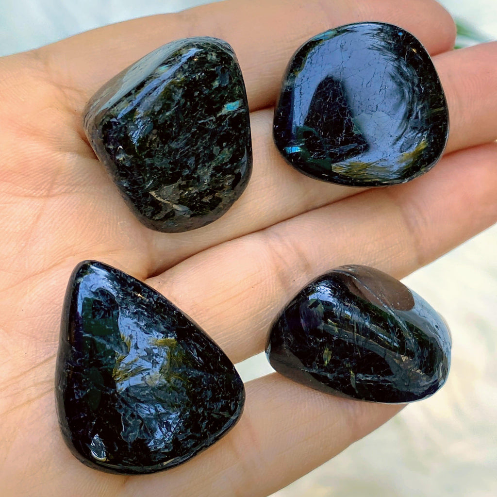 One Medium Authentic & Rare Greenland Nuummite Polished Specimen - Earth Family Crystals