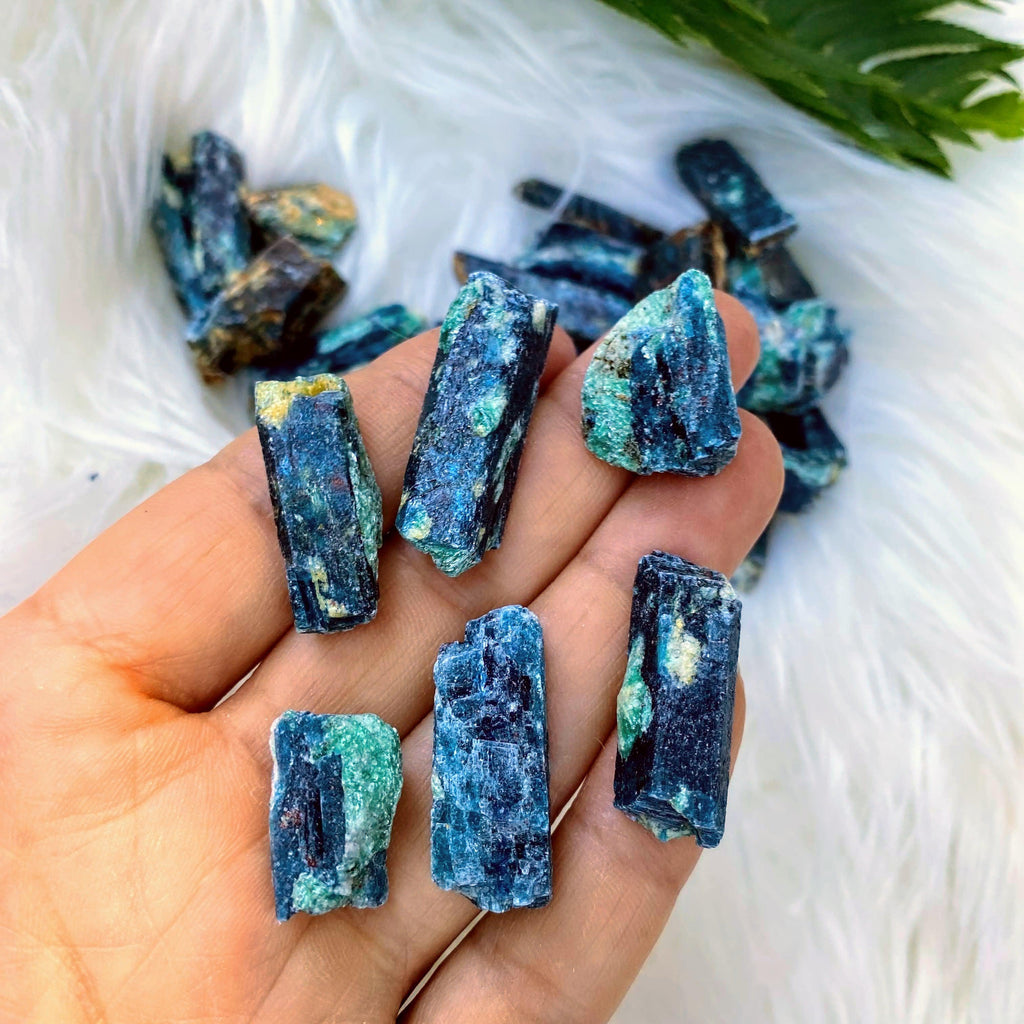 Set of 6  Deep Blue Kyanite & Fuchsite Natural Points- Locality: Brazil - Earth Family Crystals