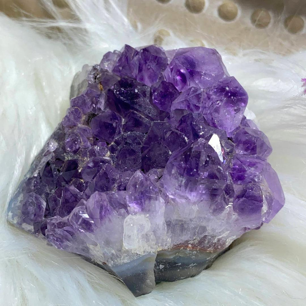 Phantoms! Gorgeous Purple Amethyst Cluster From Uruguay #2 - Earth Family Crystals