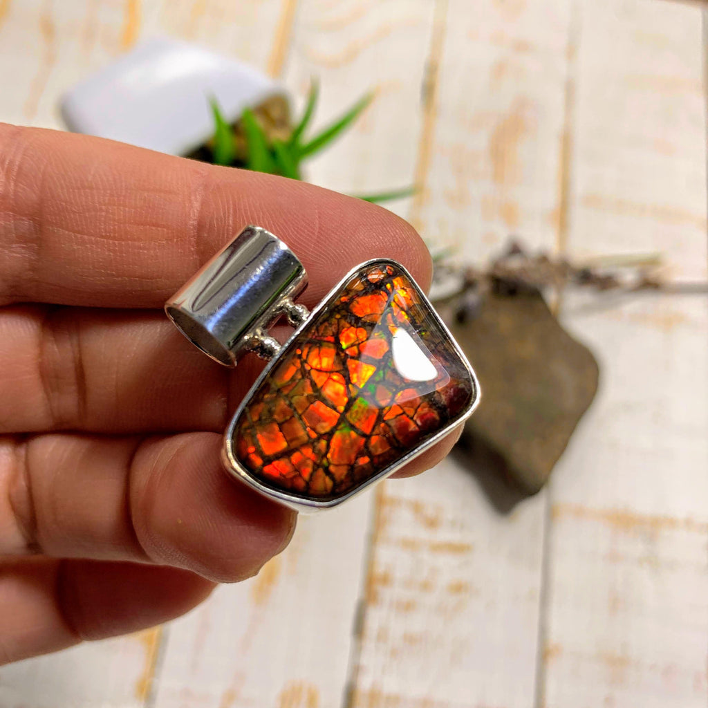 Flashy Ammolite Pendant in Sterling Silver (Includes Silver Chain) #1 - Earth Family Crystals