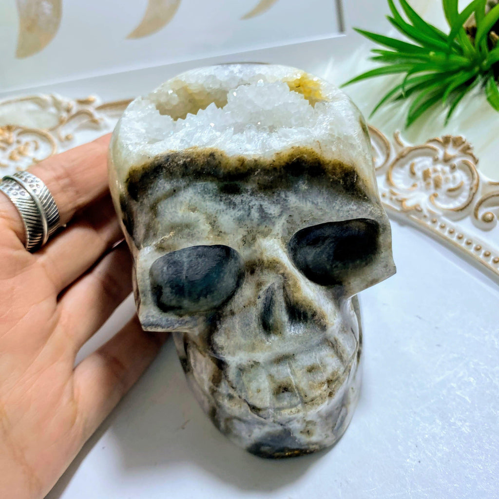 Fascinating Druzy Quartz XL Crystal Skull Display Carving - Earth Family Crystals