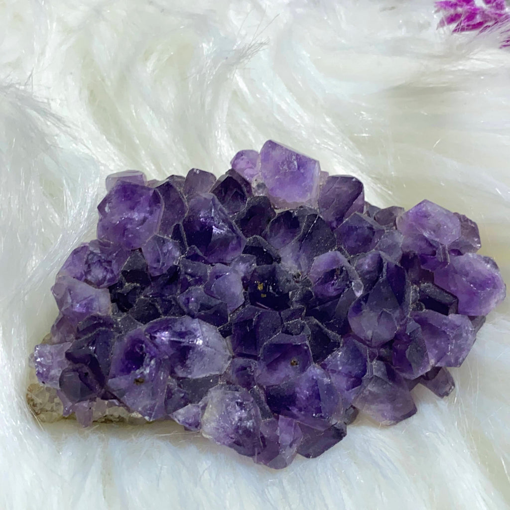 Deep Purple Amethyst Cluster From Uruguay #1 - Earth Family Crystals