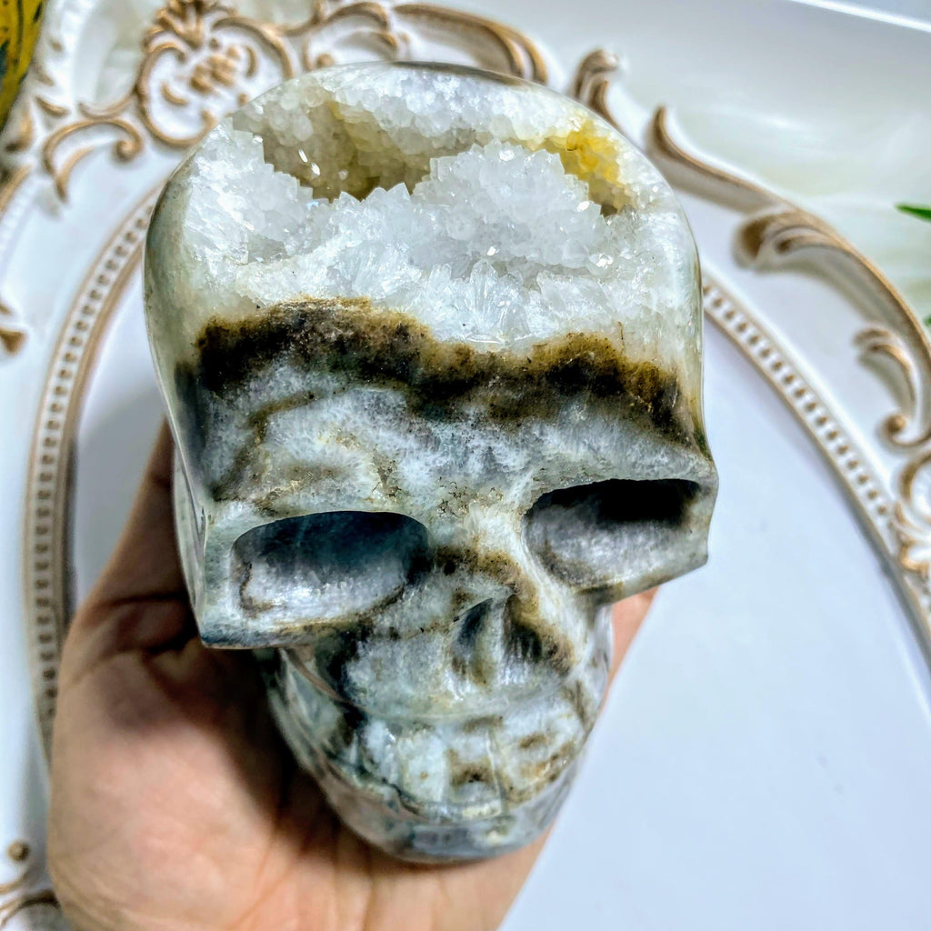 Fascinating Druzy Quartz XL Crystal Skull Display Carving - Earth Family Crystals