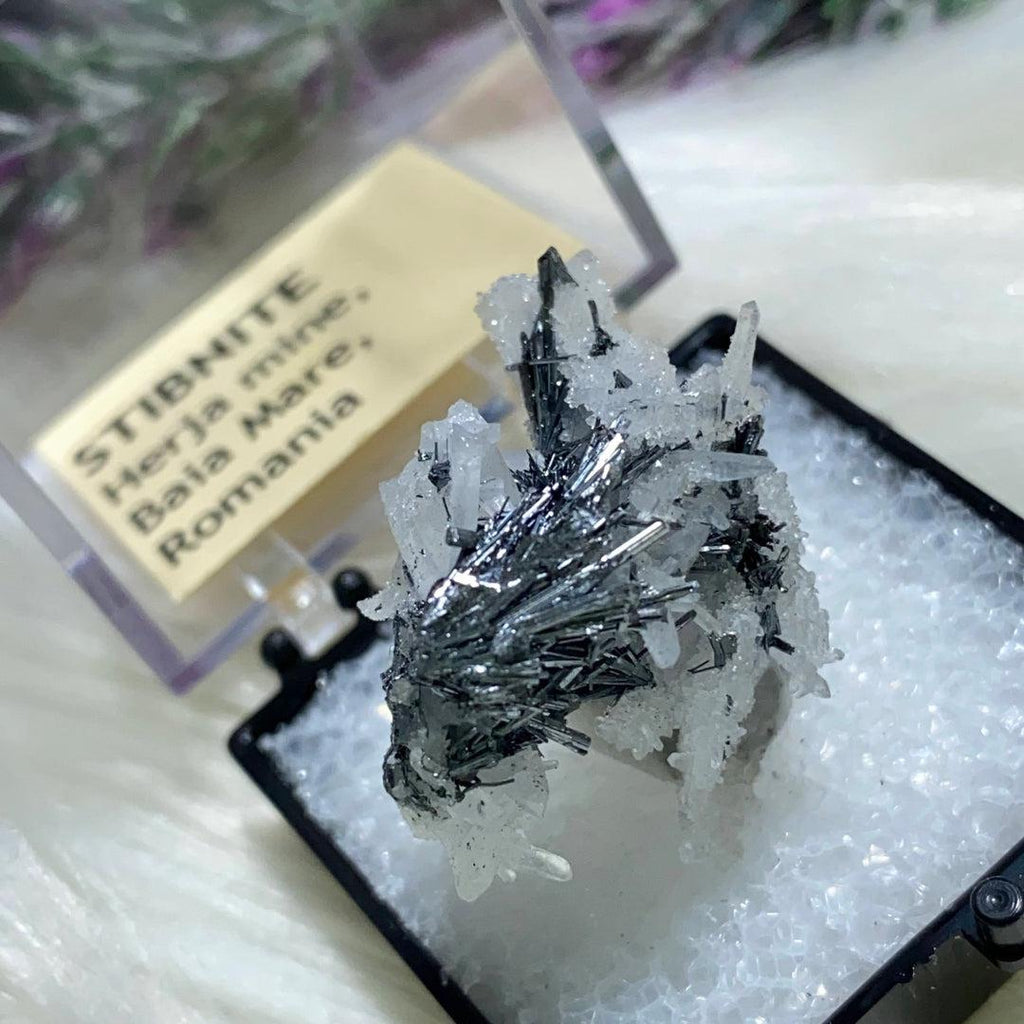 Very Rare Locale! Intricate Stibnite Nestled in Quartz in Collectors Box ~ Locality: Herja Mine, Romania - Earth Family Crystals