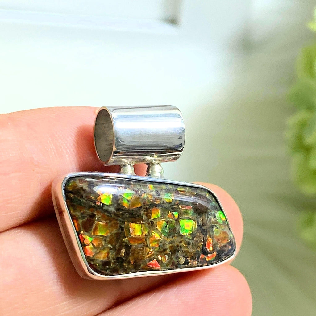 Genuine Canadian Ammolite Pendant in Sterling Silver (Includes Silver Chain) - Earth Family Crystals