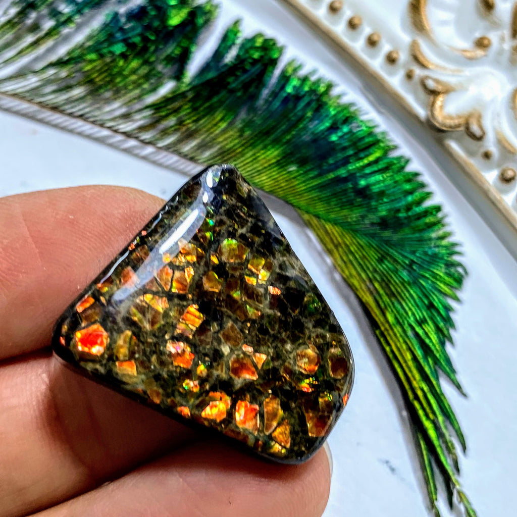 Ammolite Fossil Cabochon From Alberta ~Ideal for Crafting #2 - Earth Family Crystals