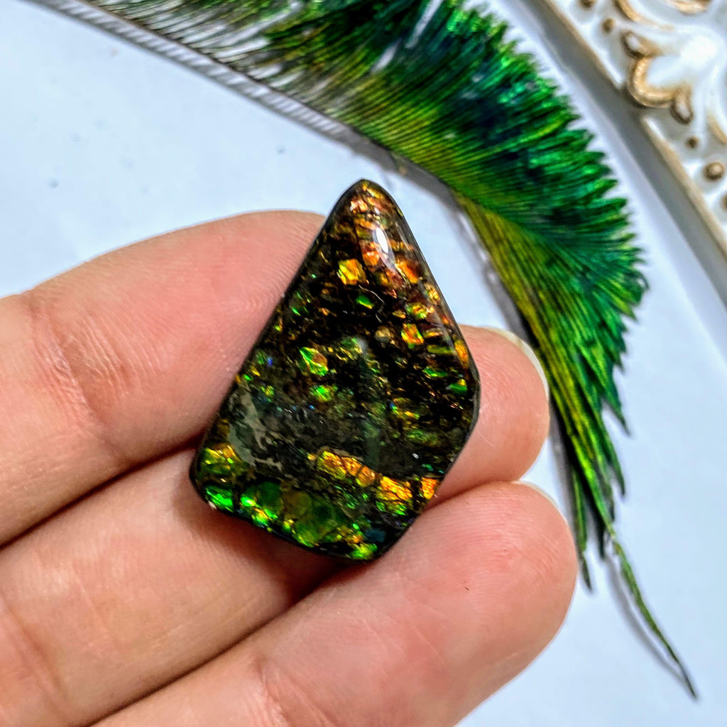 Ammolite Fossil Cabochon From Alberta ~Ideal for Crafting #3 - Earth Family Crystals
