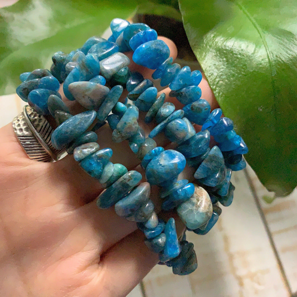 One Electric Blue Apatite Bracelet on Stretchy Cord - Earth Family Crystals