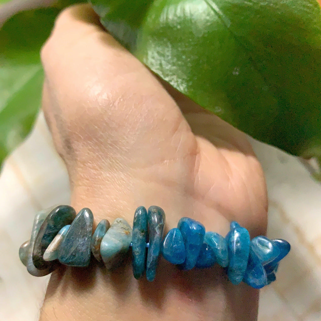 Small Blue Apatite Bracelet on Stretchy Cord - Earth Family Crystals