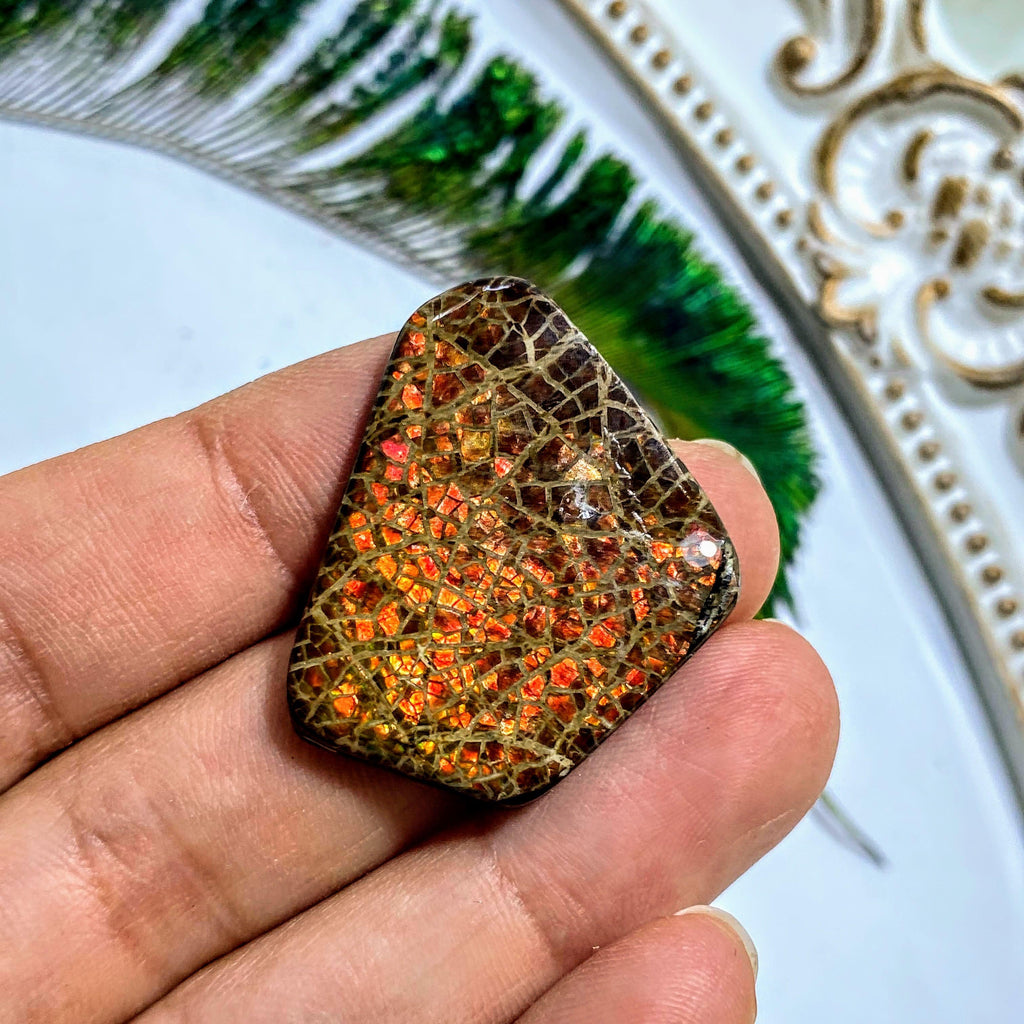 Ammolite Fossil Cabochon From Alberta ~Ideal for Crafting #5 - Earth Family Crystals