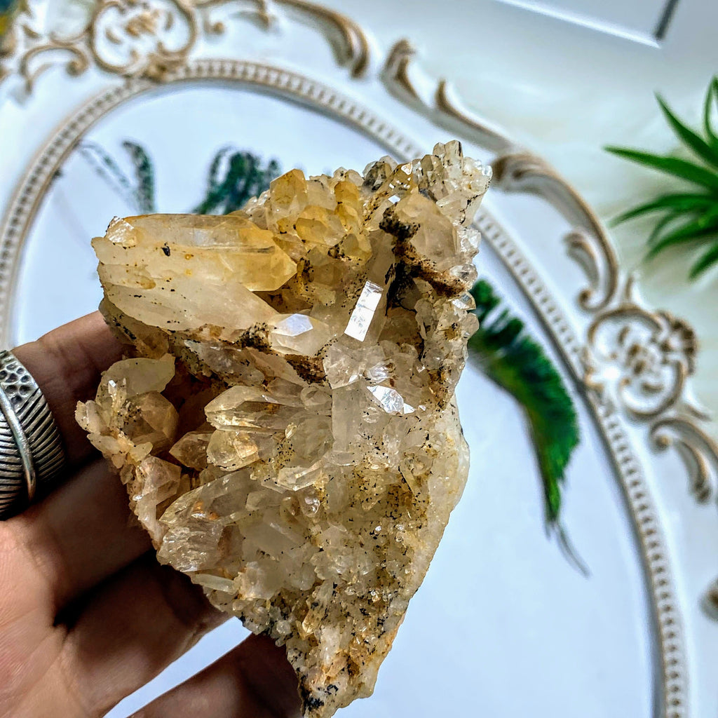 Sparkling Golden Healer Natural Quartz Cluster ~Locality: Arkansas - Earth Family Crystals