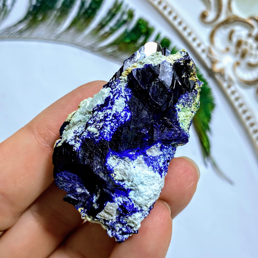 Rare! Gemmy Dark Blue Azurite Crystal Collectors Specimen From Milpillas Mine, Mexico - Earth Family Crystals