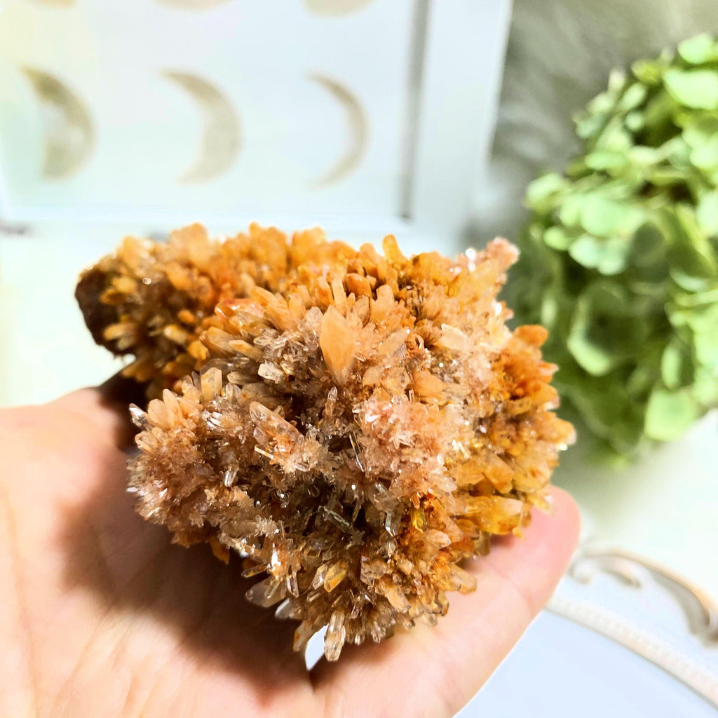 Gorgeous & Rare Creedite Large Natural Druzy Specimen~Locality Mexico - Earth Family Crystals