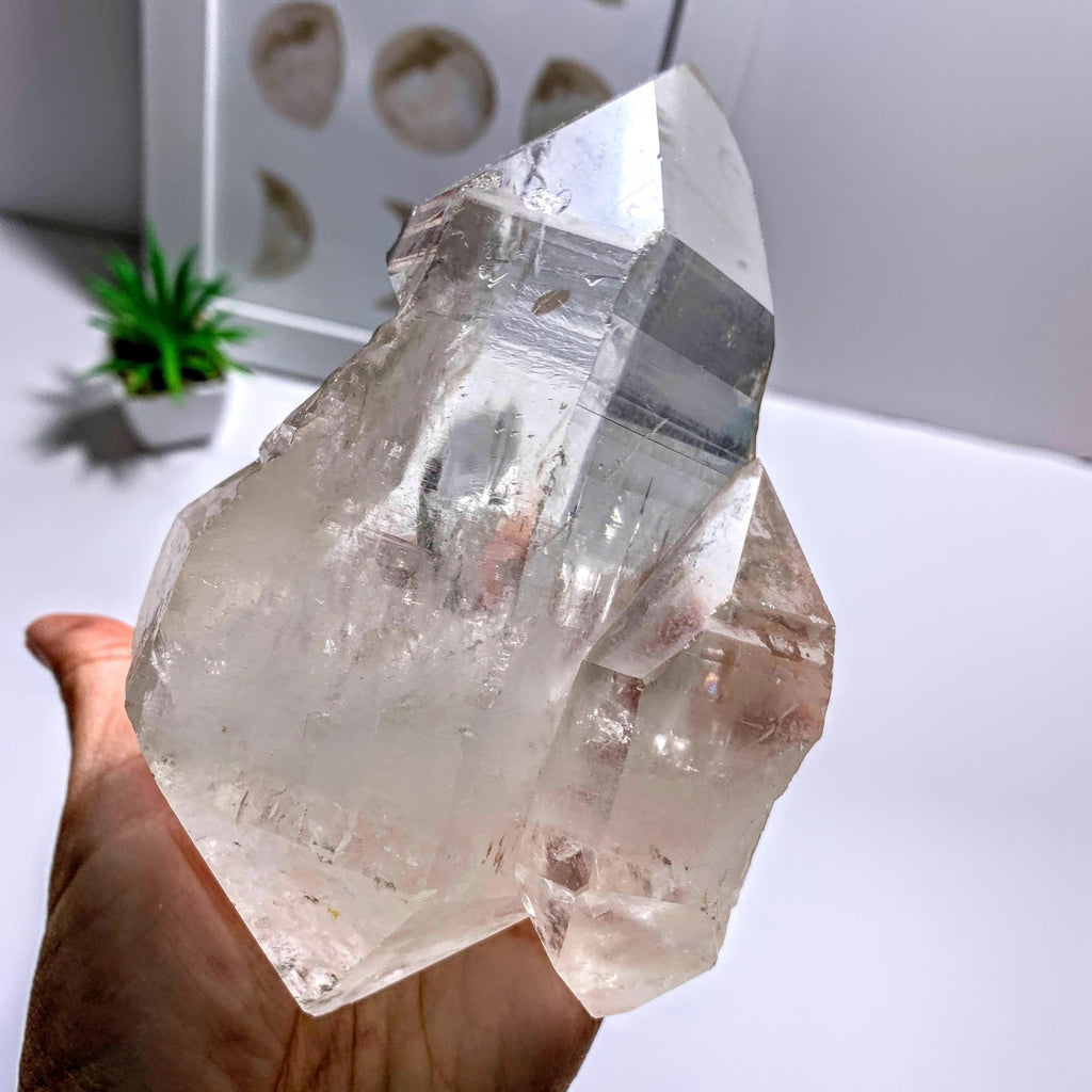 Rare & Incredible Double Terminated Mom & Baby XL Lemurian Seed Quartz From Minas Gerais, Brazil - Earth Family Crystals