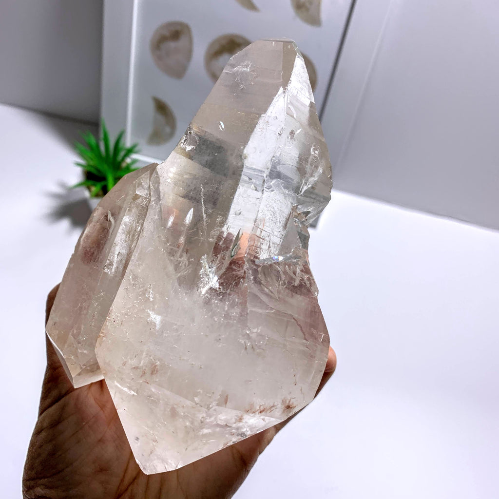 Rare & Incredible Double Terminated Mom & Baby XL Lemurian Seed Quartz From Minas Gerais, Brazil - Earth Family Crystals