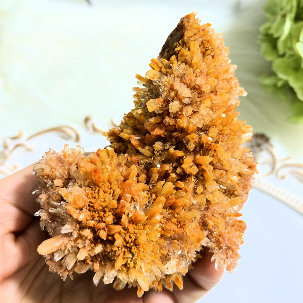 Gorgeous & Rare Creedite Large Natural Druzy Specimen~Locality Mexico - Earth Family Crystals