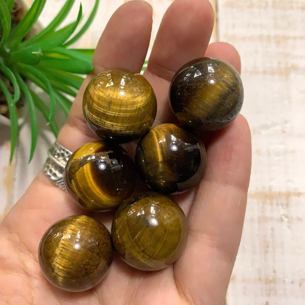 One Tiger Eye Dainty Sphere Carving - Earth Family Crystals