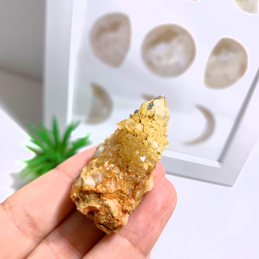 Natural Citrine Spirit Quartz Point from S.Africa #2 - Earth Family Crystals