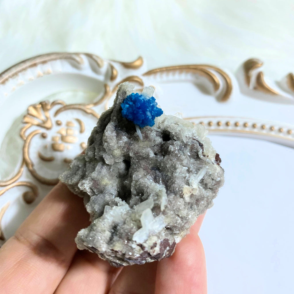 High Grade Blue Cavansite Cluster in Sparkly Druzy Stilbite Matrix From India - Earth Family Crystals