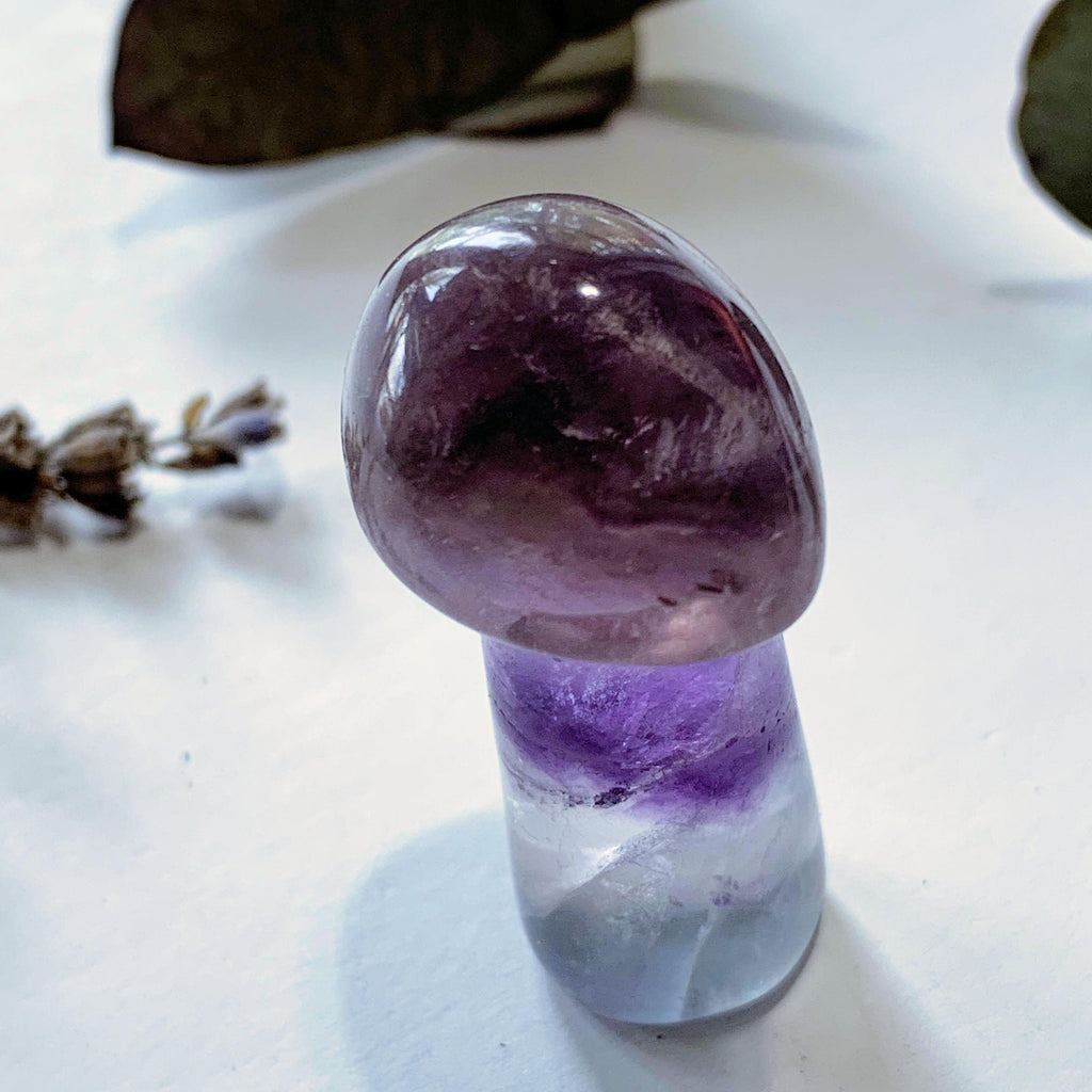 Adorable Rainbow Fluorite Mushroom Standing Display Carving - Earth Family Crystals